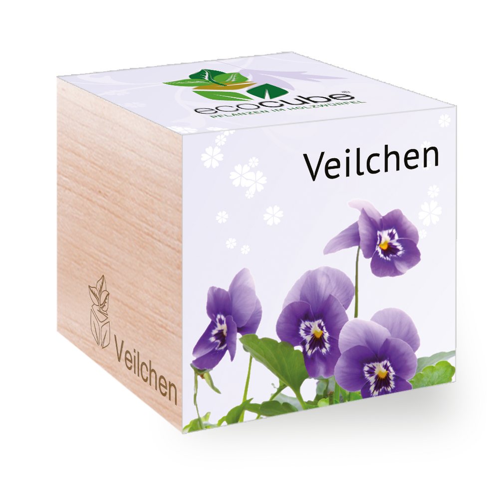 Feel Green Blumenerde Ecocube Veilchen, Nachhaltige Geschenkidee (100% Eco Friendly), (1-St) von Feel Green