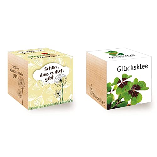 Feel Green Celebrations Ecocube, Holzwürfel Mit Lasergravur «Schön, DASS Es Dich Gibt» & Feel Green 296275 Ecocube Glücksklee, Nachhaltige Geschenkidee (100% Eco Friendly), Grow Your Own/Anzuchtset von Feel Green