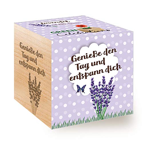 Feel Green - WE CREATE NATURE Celebrations Ecocube, Lavendel Bio Samen, Holzwürfel Mit Lasergravur «Genieße Den Tag und entspann Dich», Nachhaltige Geschenkidee, Anzuchtset, Made in Austria von Feel Green