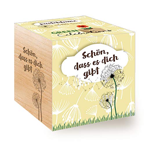 Feel Green Celebrations Ecocube, Pusteblume Bio Samen, Bio Zertifiziert, Holzwürfel Mit Lasergravur «Schön, DASS Es Dich Gibt», Nachhaltige Geschenkidee, Anzuchtset, Made in Austria von Feel Green - WE CREATE NATURE