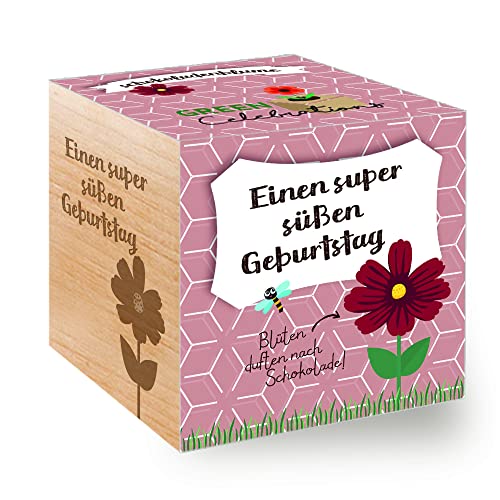 Feel Green 296619 Celebrations Ecocube, Schokoladenblume, Holzwürfel Mit Lasergravur «Einen Super Süßen Geburtstag», Nachhaltige Geschenkidee, Anzuchtset, Made in Austria von Feel Green - WE CREATE NATURE