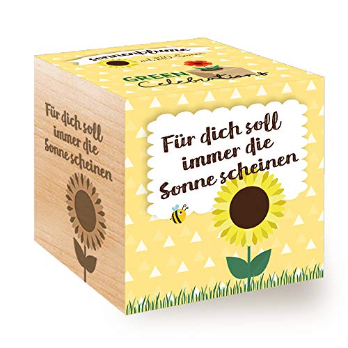 Celebrations Ecocube, Sonnenblume Bio Samen, Holzwürfel Mit Lasergravur «Für Dich Soll Immer Die Sonne Scheinen», Nachhaltige Geschenkidee, Anzuchtset, Made in Austria von Feel Green