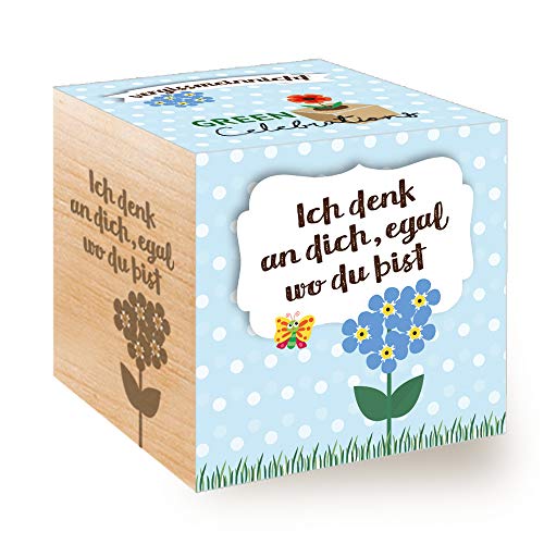 Feel Green - WE CREATE NATURE Celebrations Ecocube, Vergissmeinnicht, Holzwürfel Mit Lasergravur «Ich Denk An Dich, Egal Wo Du Bist», Nachhaltige Geschenkidee, Anzuchtset, Made in Austria von Feel Green