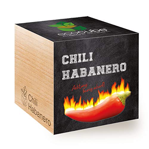 Feel Green 296435 Ecocube Chili Habanero, Feurig Scharf, Nachhaltige Geschenkidee (100% Eco Friendly), Grow Your Own/Anzuchtset, Pflanzen Im Holzwürfel 7.5 cm, Made in Austria von Feel Green - WE CREATE NATURE