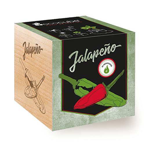 Feel Green Ecocube Chili Jalapeño, Schärfegrad: 4 (Scoville: 2.500-8.000), Nachhaltige Geschenkidee (100% Eco Friendly), Grow Your Own/Anzuchtset, Pflanzen Im Holzwürfel, Made in Austria von Feel Green - WE CREATE NATURE