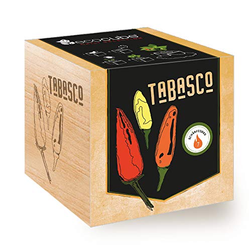 Feel Green Ecocube Chili Tabasco, Schärfegrad: 7, Scoville: 30.000-80.000, Nachhaltige Geschenkidee (100% Eco Friendly), Grow Your Own/Anzuchtset, Pflanzen Im Holzwürfel, Made in Austria von Feel Green