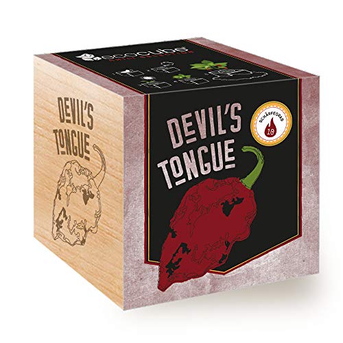 Feel Green Ecocube Devil's Tongue, Schärfegrad: 10, Scoville: 125.000-325.000, Nachhaltige Geschenkidee (100% Eco Friendly), Grow Your Own/Anzuchtset, Pflanzen Im Holzwürfel, Made in Austria von Feel Green