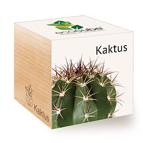 Feel Green Ecocube Kaktus, Nachhaltige Geschenkidee (100% Eco Friendly), Grow Your Own/Anzuchtset, Pflanzen Im Holzwürfel, Made in Austria von Feel Green - WE CREATE NATURE