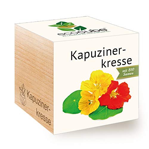 Feel Green Ecocube Kapuzinerkresse, Bio Zertifiziert, Nachhaltige Geschenkidee (100% Eco Friendly), Grow Your Own/Anzuchtset, Pflanzen Im Holzwürfel, Made in Austria von Feel Green - WE CREATE NATURE