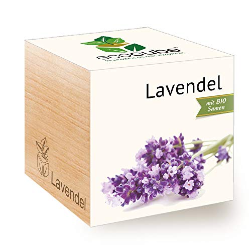 Feel Green Ecocube Lavendel, Bio Samen, Nachhaltige Geschenkidee (100% Eco Friendly), Grow Your Own/Anzuchtset, Pflanzen Im Holzwürfel, Made in Austria von Feel Green - WE CREATE NATURE