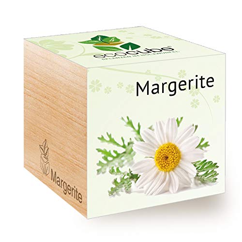 Feel 296398 Green Ecocube Margerite, Nachhaltige Geschenkidee (100% Eco Friendly), Grow Your Own/Anzuchtset, Pflanzen Im Holzwürfel, Made in Austria von Feel Green - WE CREATE NATURE