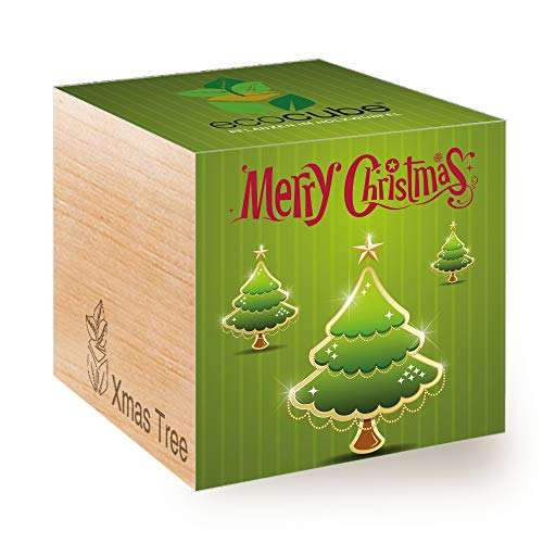 Feel Green Ecocube Merry Christmas/2G, Weihnachtsbaum, Nachhaltige Geschenkidee (100% Eco Friendly), Grow Your Own/Anzuchtset, Pflanzen Im Holzwürfel, Made in Austria von Feel Green - WE CREATE NATURE