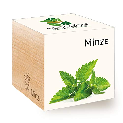 Feel Green 296466 Ecocube Minze, Nachhaltige Geschenkidee (100% Eco Friendly), Grow Your Own/Anzuchtset, Pflanzen Im Holzwürfel, Made in Austria von Feel Green - WE CREATE NATURE