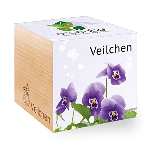 Feel Green - WE CREATE NATURE Feel Green Ecocube Veilchen, Nachhaltige Geschenkidee (100% Eco Friendly), Grow Your Own/Anzuchtset, Pflanzen Im Holzwürfel, Made in Austria von Feel Green