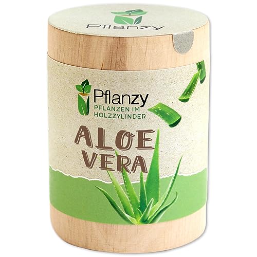 Feel Green Pflanzy Aloe Vera, Nachhaltige Geschenkidee (100% Eco Friendly), Grow Your Own/Anzuchtset, Pflanzen im Holzzylinder, Made in Austria, Holz von Feel Green - WE CREATE NATURE