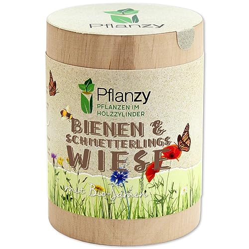 Feel Green Pflanzy Bienen- & Schmetterlingswiese, Bio Samen, Nachhaltige Geschenkidee (100% Eco Friendly), Grow Your Own/Anzuchtset, Pflanzen im Holzzylinder, Made in Austria von Feel Green - WE CREATE NATURE