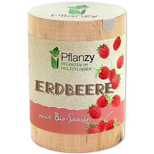 Feel Green Pflanzy Erdbeere, Bio Samen, Nachhaltige Geschenkidee (100% Eco Friendly), Grow Your Own/Anzuchtset, Pflanzen im Holzzylinder, Made in Austria von Feel Green - WE CREATE NATURE