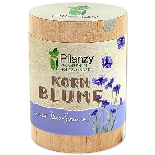 Feel Green Pflanzy Kornblume, Bio Samen, Nachhaltige Geschenkidee (100% Eco Friendly), Grow Your Own/Anzuchtset, Pflanzen im Holzzylinder, Made in Austria von Feel Green - WE CREATE NATURE