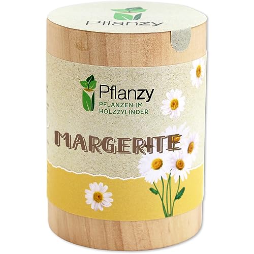 Feel Green Pflanzy Margerite, Nachhaltige Geschenkidee (100% Eco Friendly), Grow Your Own/Anzuchtset, Pflanzen im Holzzylinder, Made in Austria von Feel Green - WE CREATE NATURE