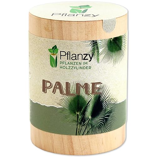 Feel Green Pflanzy Palme, Nachhaltige Geschenkidee (100% Eco Friendly), Grow Your Own/Anzuchtset, Pflanzen im Holzzylinder, Made in Austria von Feel Green - WE CREATE NATURE