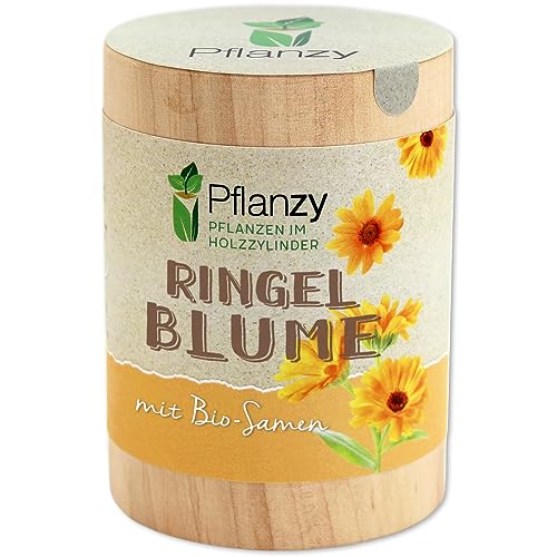 Feel Green Pflanzy Ringelblume, Nachhaltige Geschenkidee (100% Eco Friendly), Grow Your Own/Anzuchtset, Pflanzen im Holzzylinder, Made in Austria von Feel Green - WE CREATE NATURE