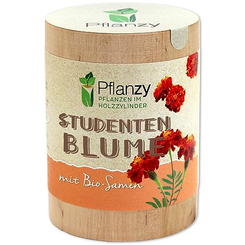 Feel Green Pflanzy Studentenblume, Bio Samen, Nachhaltige Geschenkidee (100% Eco Friendly), Grow Your Own/Anzuchtset, Pflanzen im Holzzylinder, Made in Austria von Feel Green - WE CREATE NATURE