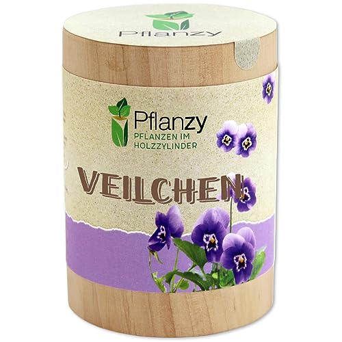 Feel Green Pflanzy Veilchen, Nachhaltige Geschenkidee (100% Eco Friendly), Grow Your Own/Anzuchtset, Pflanzen im Holzzylinder, Made in Austria von Feel Green - WE CREATE NATURE