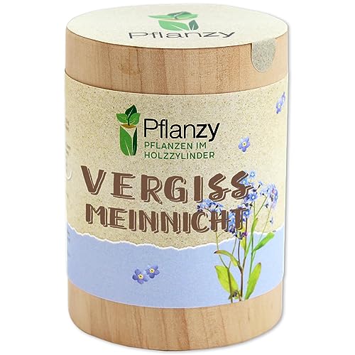 Feel Green Pflanzy Vergissmeinnicht, Nachhaltige Geschenkidee (100% Eco Friendly), Grow Your Own/Anzuchtset, Pflanzen im Holzzylinder, Made in Austria von Feel Green - WE CREATE NATURE