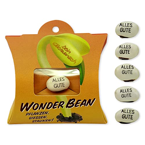 Feel Green - WE CREATE NATURE Wonder Bean (5 Stk), Alles Gute, Bohne Mit Eingravierter Glücksbotschaft, Made in Austria, Nachhaltige Geschenkidee, Pflanzen-Gießen-Staunen, 9 x 8 x 2 cm von Feel Green