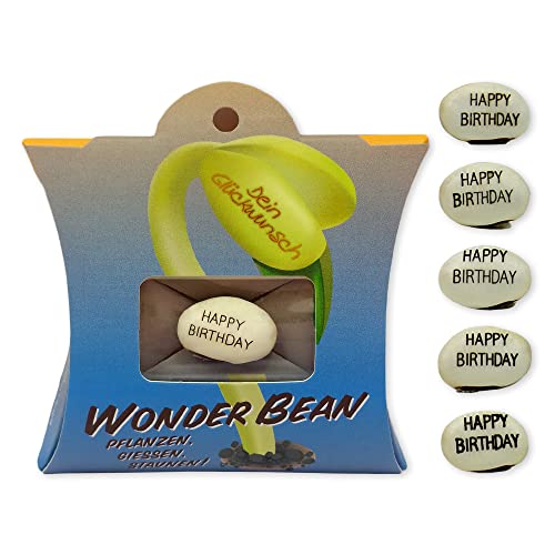 Feel Green Wonder Bean (5 Stk), Happy Birthday, Bohne Mit Eingravierter Glücksbotschaft, Made in Austria, Nachhaltige Geschenkidee, Pflanzen-Gießen-Staunen von Feel Green