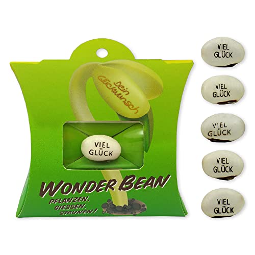 Feel Green Wonder Bean (5 Stk), Viel Glück, Bohne Mit Eingravierter Glücksbotschaft, Made in Austria, Nachhaltige Geschenkidee, Pflanzen-Gießen-Staunen von Feel Green