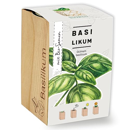Feel Green ecoblock Basilikum, Bio Samen, Nachhaltige Geschenkidee (100% Eco Friendly), Grow Your Own/Anzuchtset, Pflanzen im Holzblock, Made in Austria von Feel Green - WE CREATE NATURE