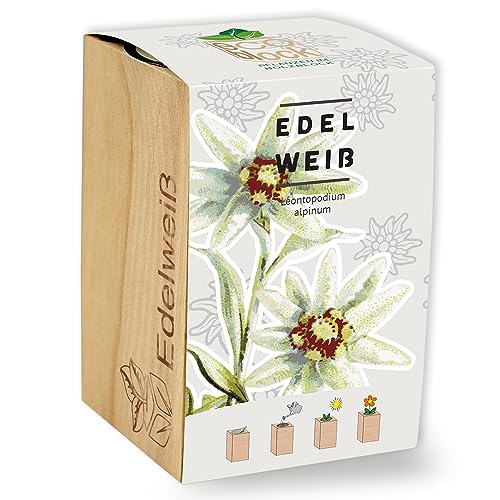 Feel Green ecoblock Edelweiß, Nachhaltige Geschenkidee (100% Eco Friendly), Grow Your Own/Anzuchtset, Pflanzen im Holzblock, Made in Austria von Feel Green - WE CREATE NATURE