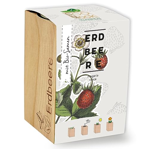 Feel Green ecoblock Erdbeere, Bio Samen, Nachhaltige Geschenkidee (100% Eco Friendly), Grow Your Own/Anzuchtset, Pflanzen im Holzblock, Made in Austria von Feel Green - WE CREATE NATURE