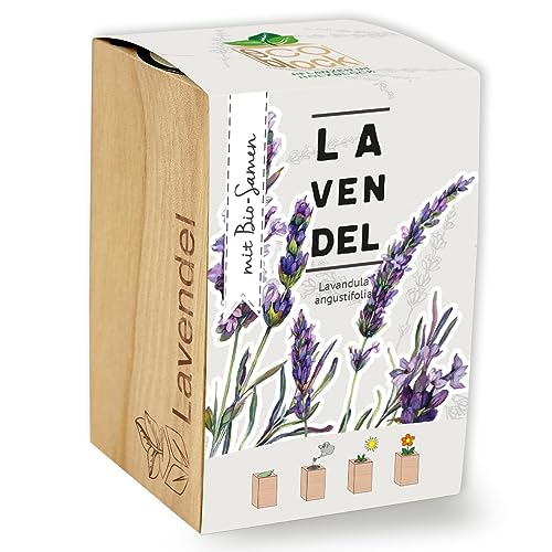 Feel Green ecoblock Lavendel, Bio Samen, Nachhaltige Geschenkidee (100% Eco Friendly), Grow Your Own/Anzuchtset, Pflanzen im Holzblock, Made in Austria von Feel Green - WE CREATE NATURE