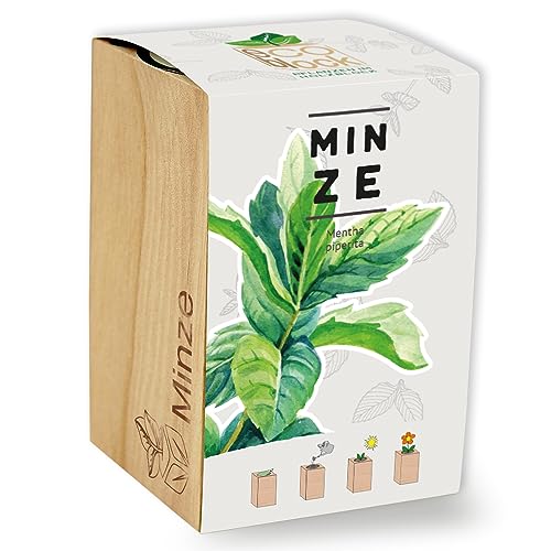 Feel Green ecoblock Minze, Nachhaltige Geschenkidee (100% Eco Friendly), Grow Your Own/Anzuchtset, Pflanzen im Holzblock, Made in Austria von Feel Green - WE CREATE NATURE
