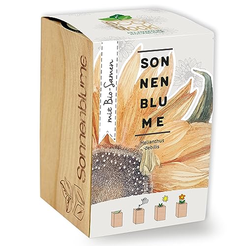 Feel Green ecoblock Sonnenblume, Bio Samen, Nachhaltige Geschenkidee (100% Eco Friendly), Grow Your Own/Anzuchtset, Pflanzen im Holzblock, Made in Austria von Feel Green - WE CREATE NATURE