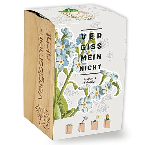 Feel Green ecoblock Vergissmeinnicht, Nachhaltige Geschenkidee (100% Eco Friendly), Grow Your Own/Anzuchtset, Pflanzen im Holzblock, Made in Austria von Feel Green - WE CREATE NATURE