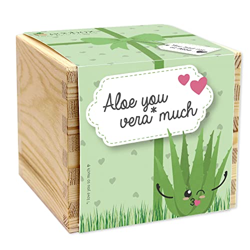 Feel Green - WE CREATE NATURE ecobox, (Aloe You Vera Much), Pflanzen Aus Der Holzbox 11x11x10cm, Made in Austria, Nachhaltige Geschenkidee, Grow Your Own/Anzuchtset von Feel Green - WE CREATE NATURE