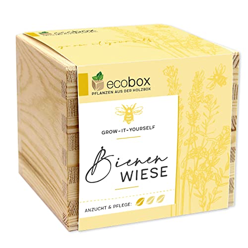Feel Green - WE CREATE NATURE ecobox, Bienenwiese, Bio Samen, Pflanzen Aus Der Holzbox 11x11x10cm, Made in Austria, Nachhaltige Geschenkidee, Grow Your Own/Anzuchtset Feel Green - WE CREATE NATURE ecobox, Bienenwiese, Bio Samen, Pflanzen Aus Der Holzbox 11x11x10cm, Made in Austria, Nachhaltige Geschenkidee, Grow Your Own/Anzuchtset von Feel Green - WE CREATE NATURE