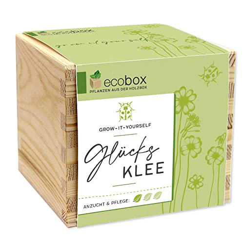 Feel Green - WE CREATE NATURE ecobox, Glücksklee, Pflanzen Aus Der Holzbox 11x11x10cm, Made in Austria, Nachhaltige Geschenkidee, Grow Your Own/Anzuchtset von Feel Green - WE CREATE NATURE