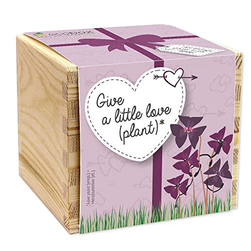 Feel Green - WE CREATE NATURE ecobox, Herzblattklee Give a little love (plant), Pflanzen Aus Der Holzbox 11x11x10cm, Made in Austria, Nachhaltige Geschenkidee, Grow Your Own/Anzuchtset von Feel Green