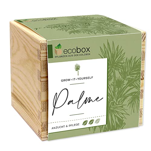 Feel Green - WE CREATE NATURE ecobox, Palme, Pflanzen Aus Der Holzbox 11x11x10cm, Made in Austria, Nachhaltige Geschenkidee, Grow Your Own/Anzuchtset von Feel Green