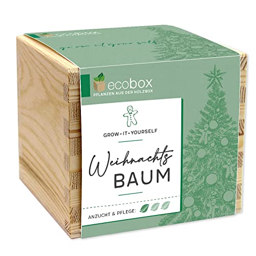 Feel Green - WE CREATE NATURE ecobox, Weihnachtbaum, Pflanzen Aus Der Holzbox 11x11x10cm, Made in Austria, Nachhaltige Geschenkidee, Grow Your Own/Anzuchtset Feel Green - WE CREATE NATURE ecobox, Weihnachtbaum, Pflanzen Aus Der Holzbox 11x11x10cm, Made in Austria, Nachhaltige Geschenkidee, Grow Your Own/Anzuchtset von Feel Green - WE CREATE NATURE