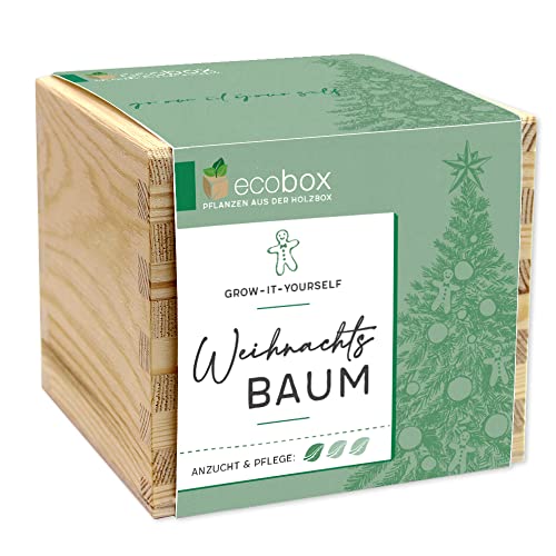 Feel Green - WE CREATE NATURE ecobox, Weihnachtbaum, Pflanzen Aus Der Holzbox 11x11x10cm, Made in Austria, Nachhaltige Geschenkidee, Grow Your Own/Anzuchtset von Feel Green