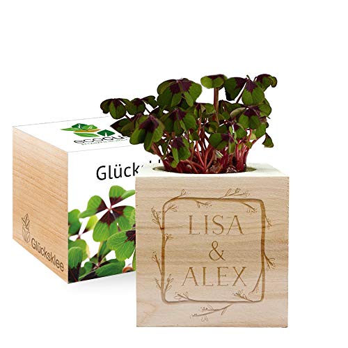 Gravierter EcoCube Blumenrahmen (Glücksklee) von Feel Green