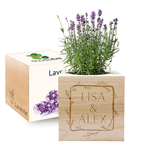 Gravierter EcoCube Blumenrahmen (Lavendel) von Feel Green