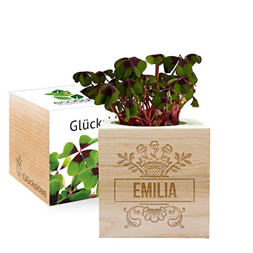 Gravierter EcoCube Vorname (Glücksklee) von Feel Green