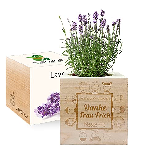 Gravierter EcoCube für Lehrer(in) (Lavendel) von Feel Green