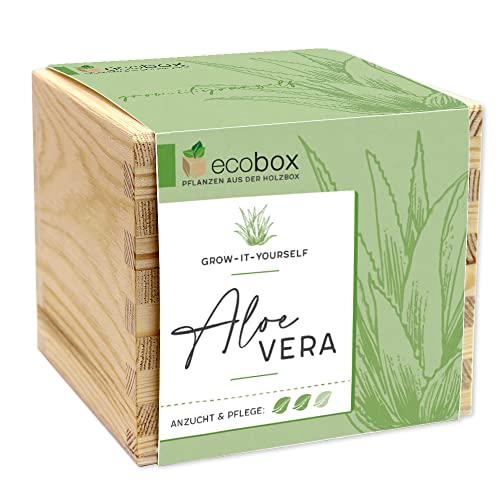ecobox, Aloe Vera, Pflanzen Aus Der Holzbox 11x11x10cm, Made in Austria, Nachhaltige Geschenkidee, Grow Your Own/Anzuchtset von Feel Green - WE CREATE NATURE